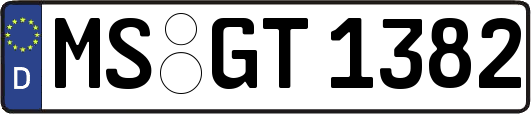 MS-GT1382