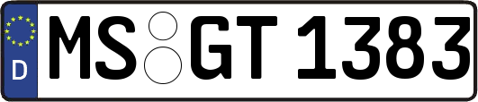 MS-GT1383