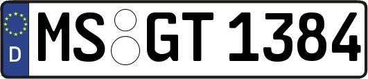 MS-GT1384