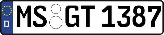 MS-GT1387