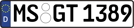 MS-GT1389
