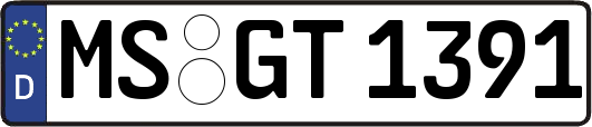 MS-GT1391
