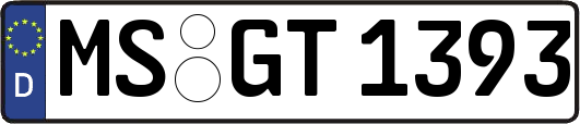 MS-GT1393