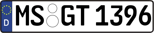 MS-GT1396