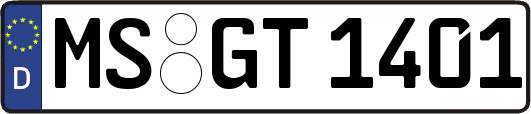 MS-GT1401