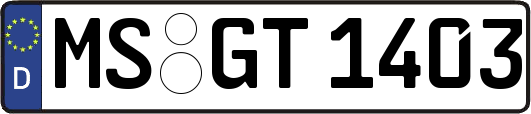 MS-GT1403