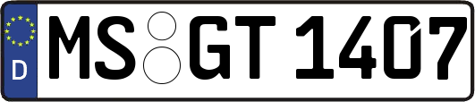 MS-GT1407
