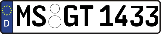 MS-GT1433