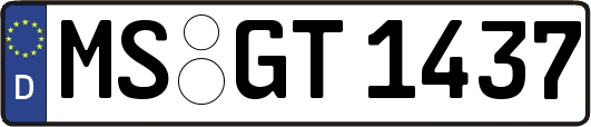 MS-GT1437
