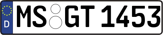 MS-GT1453