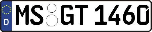 MS-GT1460