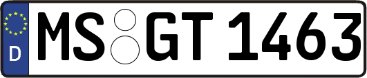 MS-GT1463