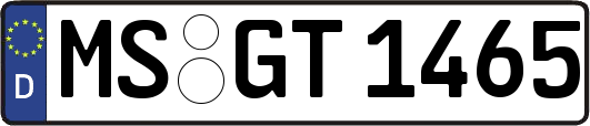 MS-GT1465