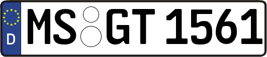 MS-GT1561