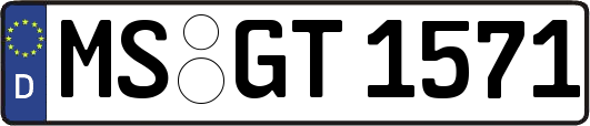 MS-GT1571