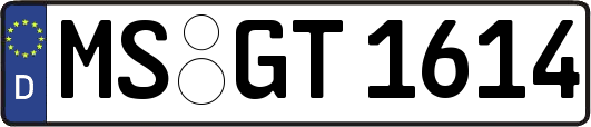 MS-GT1614