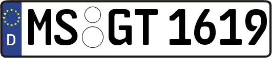 MS-GT1619