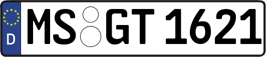 MS-GT1621