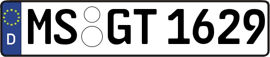 MS-GT1629