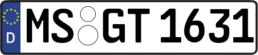MS-GT1631