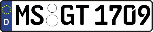 MS-GT1709