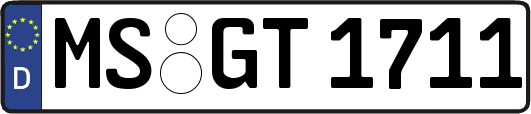 MS-GT1711