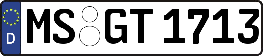 MS-GT1713