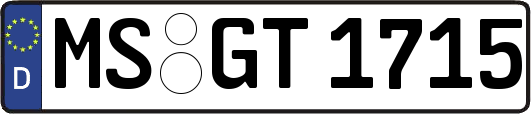MS-GT1715