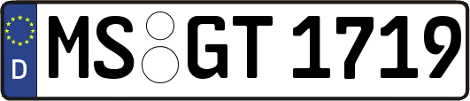MS-GT1719