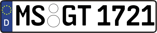 MS-GT1721
