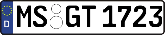 MS-GT1723
