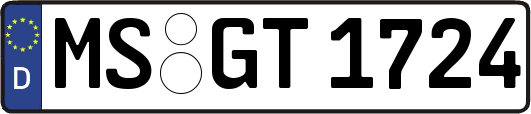 MS-GT1724
