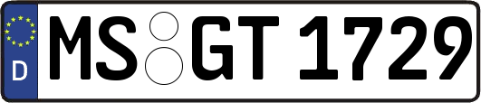MS-GT1729