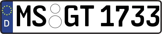 MS-GT1733
