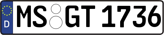 MS-GT1736