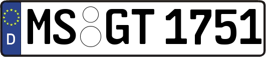 MS-GT1751