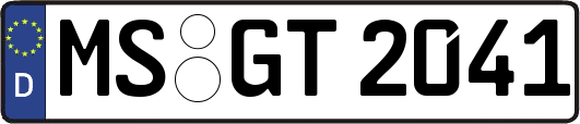MS-GT2041