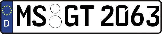 MS-GT2063