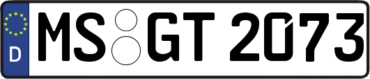 MS-GT2073
