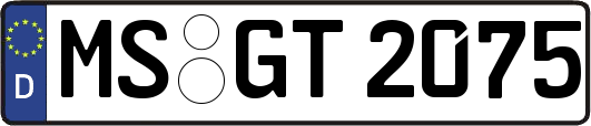 MS-GT2075