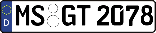 MS-GT2078