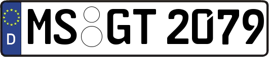 MS-GT2079