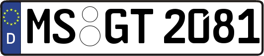 MS-GT2081