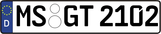 MS-GT2102