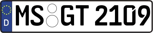 MS-GT2109