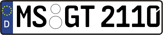 MS-GT2110