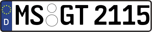 MS-GT2115