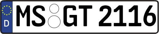 MS-GT2116