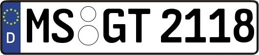 MS-GT2118