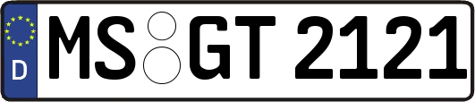 MS-GT2121